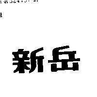 新岳