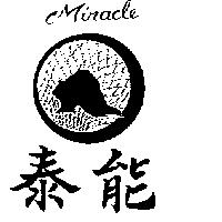 泰能及圖 MIRACLE