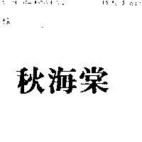 秋海棠