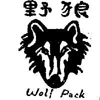 野狼 WOLF PACK 