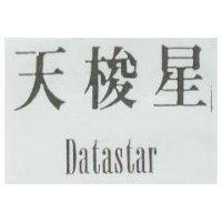 天梭星 DATASTAR