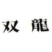 双龍