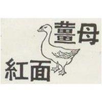 紅面薑母及鴨圖