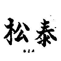 松泰牌 GSA 