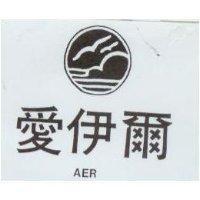 愛伊爾及圖 AER
