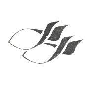 新登企業有限公司標章圖