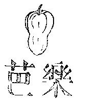 芭樂及圖