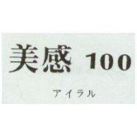 美感 100 アイラル