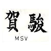 賀駿 MSV
