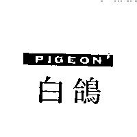 白鴿 PIGEON