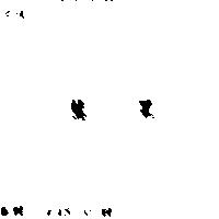 慧星