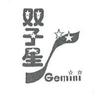 双子星及圖 GEMINI