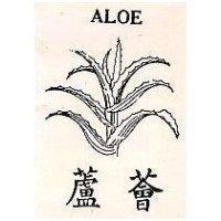 蘆薈及圖