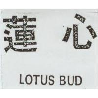 蓮心 LOTUS BUD