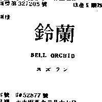 鈴蘭 BELL ORCHID スズラン