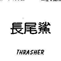 長尾鯊 THRASHER