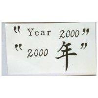 “ 2000 年” “ Year2000 ”