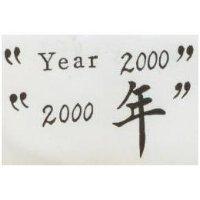 “ 2000 年” 