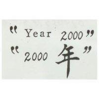 “ 2000 年” 