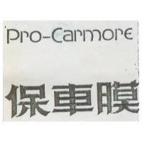 保車膜 Pro-Carmore
