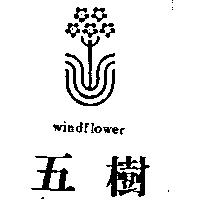 五樹及圖 WINDFLOWER
