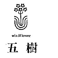 五樹及圖 WINDFLOWER