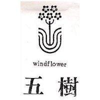 五樹及圖 WINDFLOWER