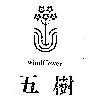 五樹及圖 WINDFLOWER