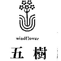 五樹及圖 WINDFLOWER