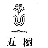 五樹及圖 WINDFLOWER