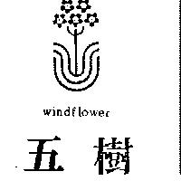 五樹及圖 WINDFLOWER