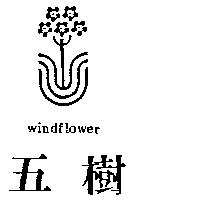 五樹及圖 WINDFLOWER