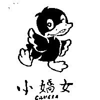 小嬌女 CAMERA 及圖
