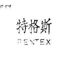 特格斯 PENTEX