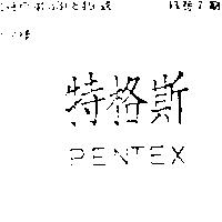 特格斯 PENTEX