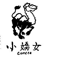小嬌女 CAMERA 及圖
