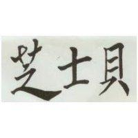 芝士貝