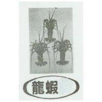 龍蝦及圖