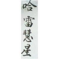 哈雷慧星