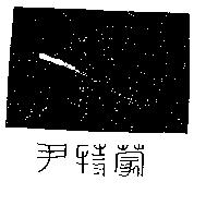 尹特蒙及圖