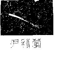 尹特蒙及圖