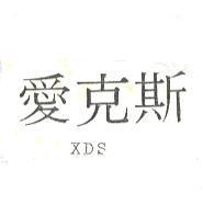 愛克斯 XDS
