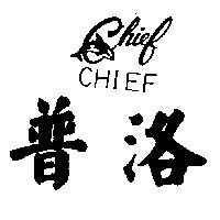 普洛及圖 CHIEF