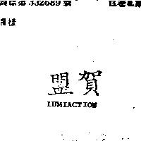盟賀 LUMIACTION