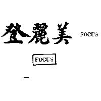 登麗美及圖 FOCUS