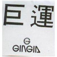 巨運 G GINGIA