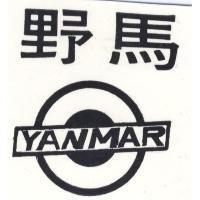 野馬