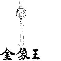 金象王及圖