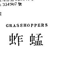 蚱蜢 GRASSHOPPERS