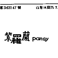 紫羅蘭 PANSY